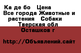 Ка де бо › Цена ­ 25 000 - Все города Животные и растения » Собаки   . Тверская обл.,Осташков г.